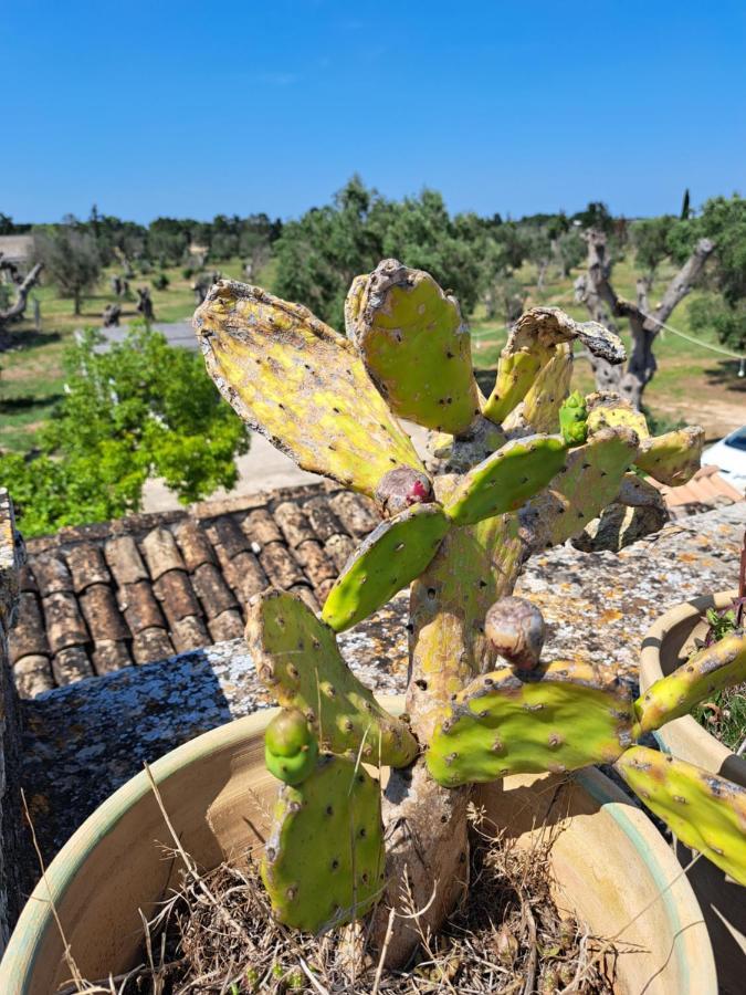 Bed & Breakfast La Fragna